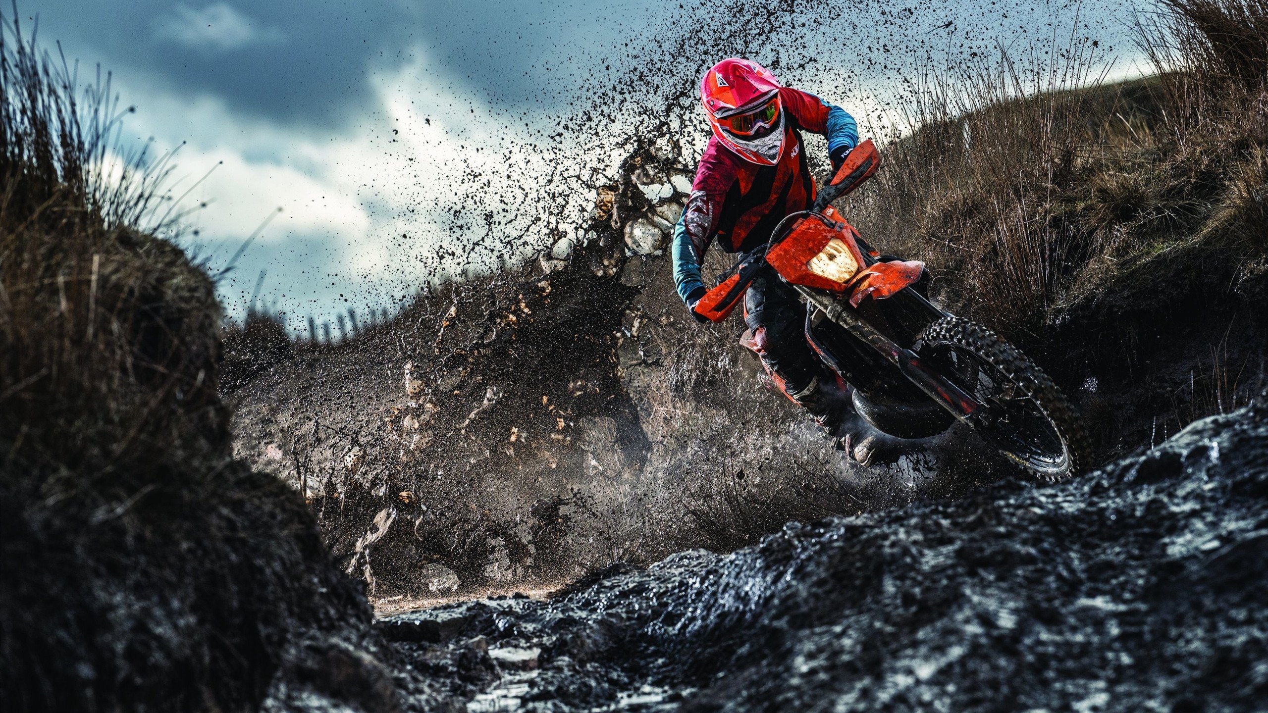 德国马术队在2024年国际马术联合会障碍赛世界巡回赛中获得团体第四名，展现出色表现。